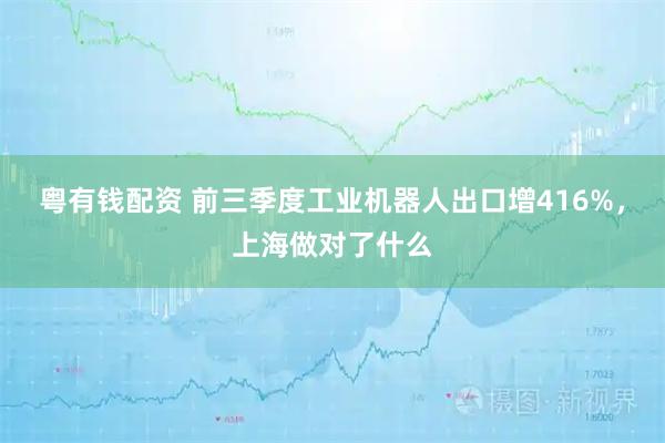 粤有钱配资 前三季度工业机器人出口增416%，上海做对了什么