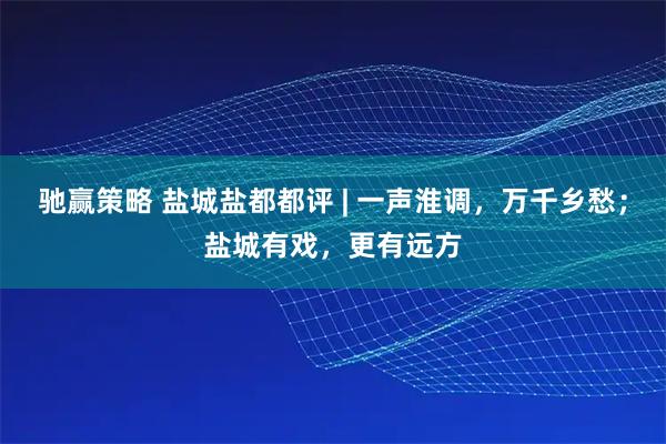 驰赢策略 盐城盐都都评 | 一声淮调，万千乡愁；盐城有戏，更有远方