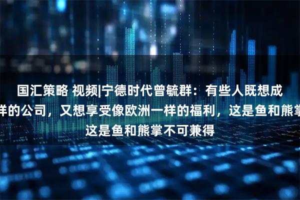 国汇策略 视频|宁德时代曾毓群：有些人既想成为硅谷一样的公司，又想享受像欧洲一样的福利，这是鱼和熊掌不可兼得