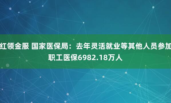 红领金服 国家医保局：去年灵活就业等其他人员参加职工医保6982.18万人